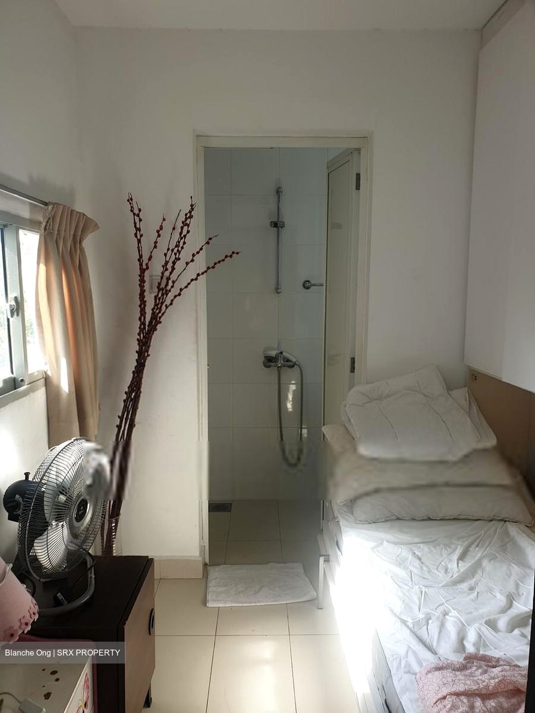 Nassim Regency (D10), Condominium #509218771